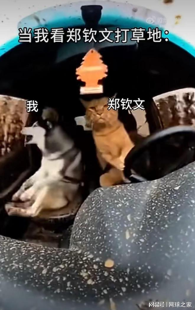 滴滴看球-RS直播看球网站